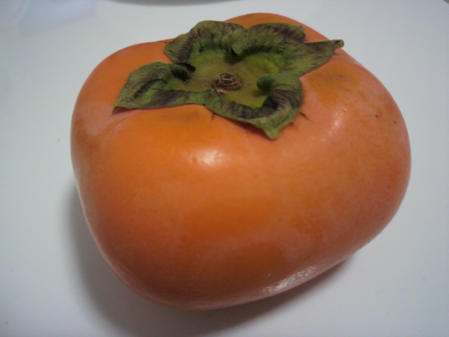 ����(�`�j�̎ʐ^